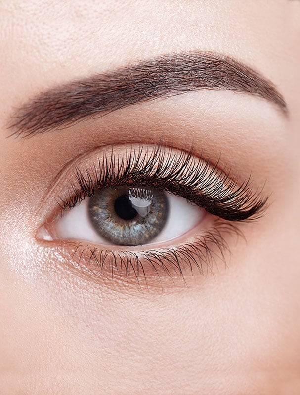 The Best Lashes
